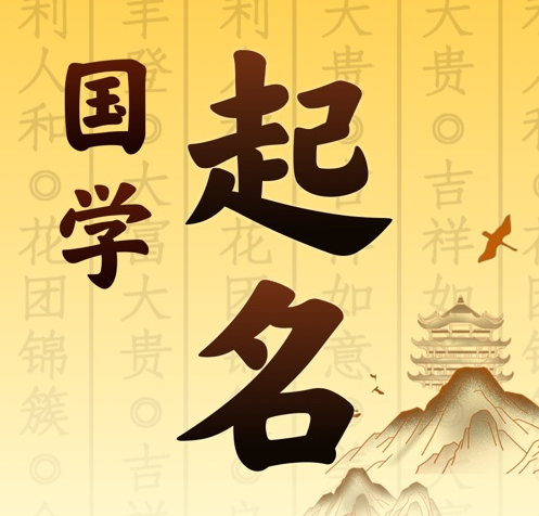 六安市国学起名 人工起名一对一