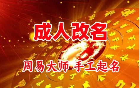 六安市成人改名-找大师一对一改名先分析后改名